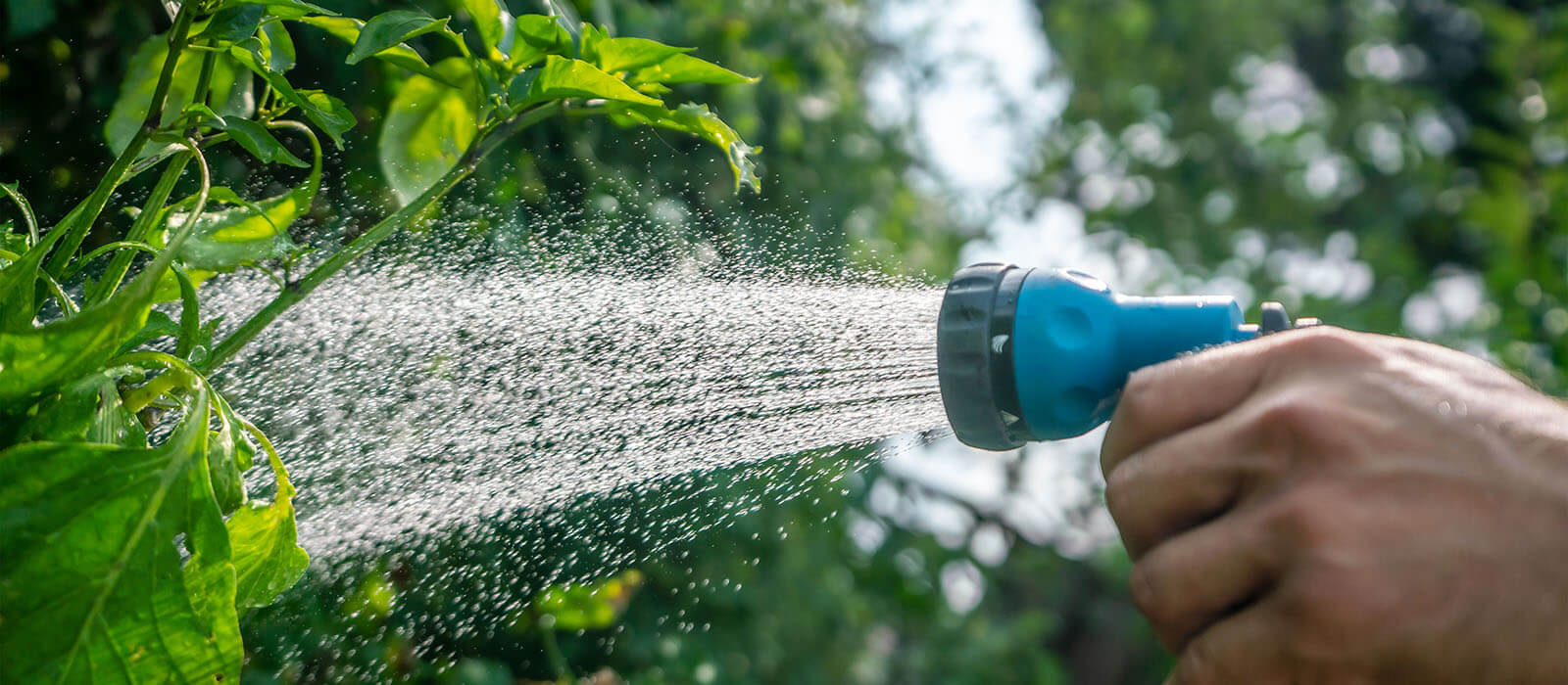 Hacemos que la conservación de agua suceda en cada estación